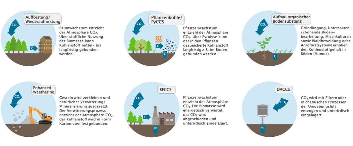Pflanzenkohle – Klimafreundlicher Bodenverbesserer und Energieträger